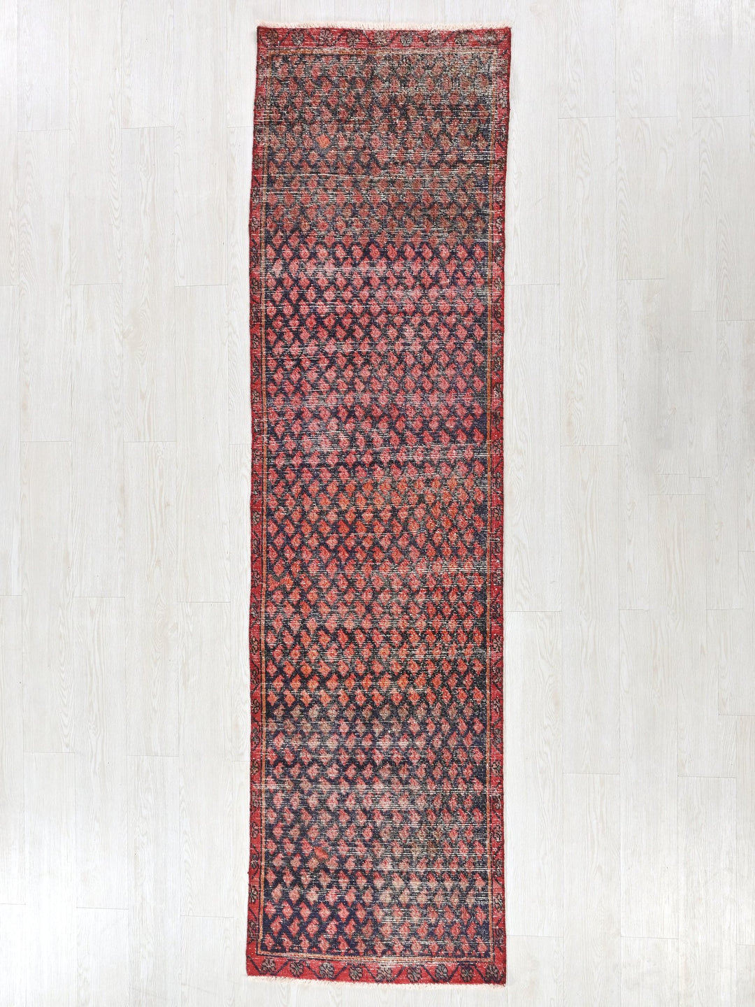 2' 3" x 8' 10"