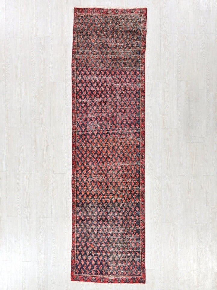 2' 3" x 8' 10"