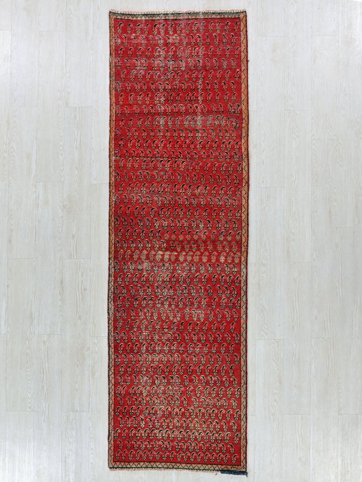 2' 6" x 8' 12"