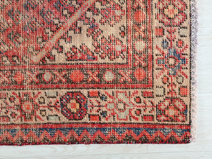 3' 2" x 4' 10"