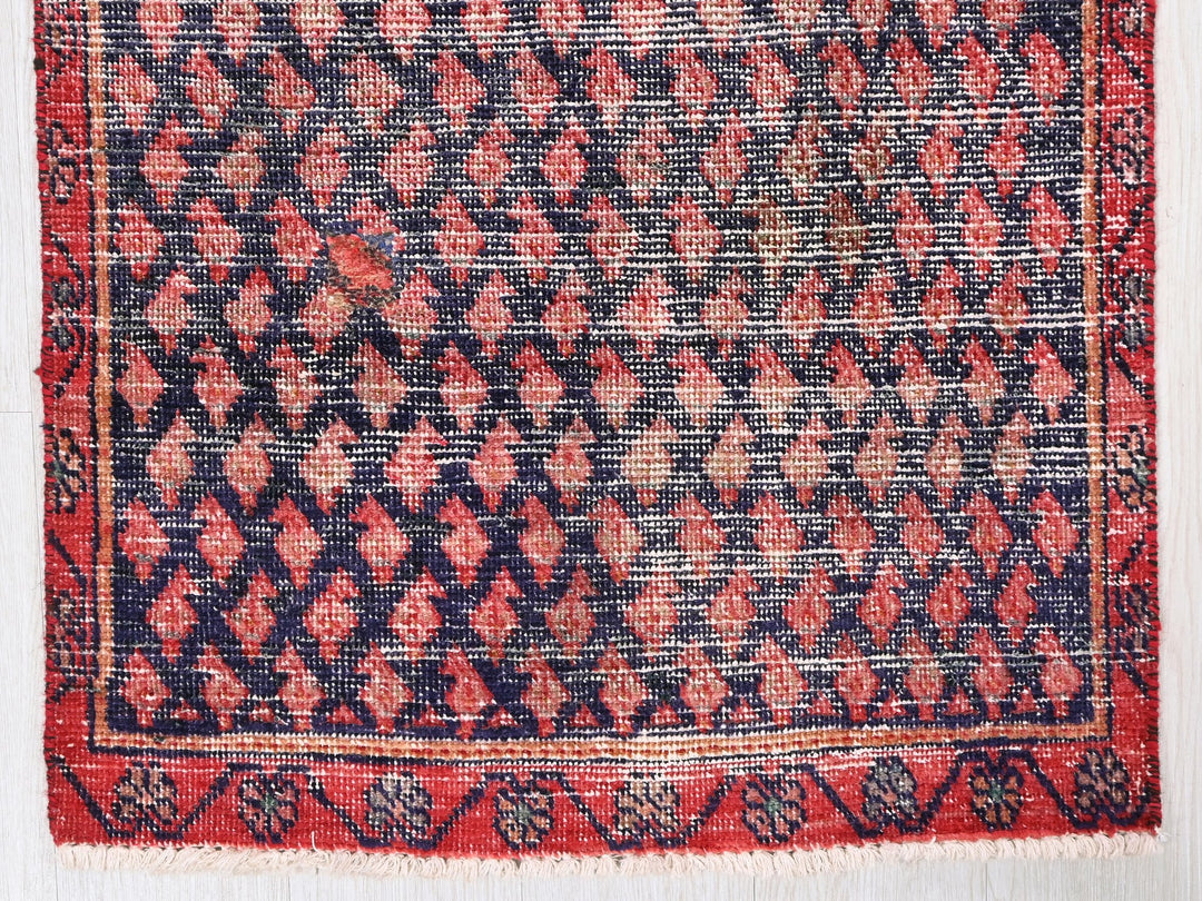 2' 3" x 8' 10"