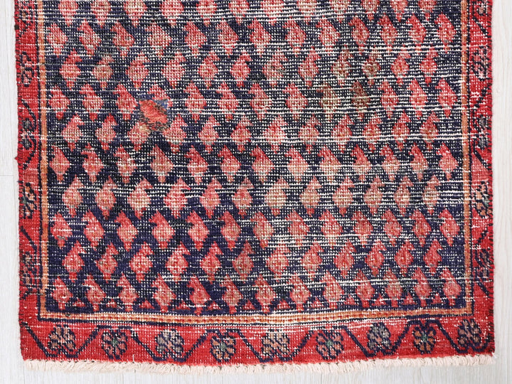 2' 3" x 8' 10"