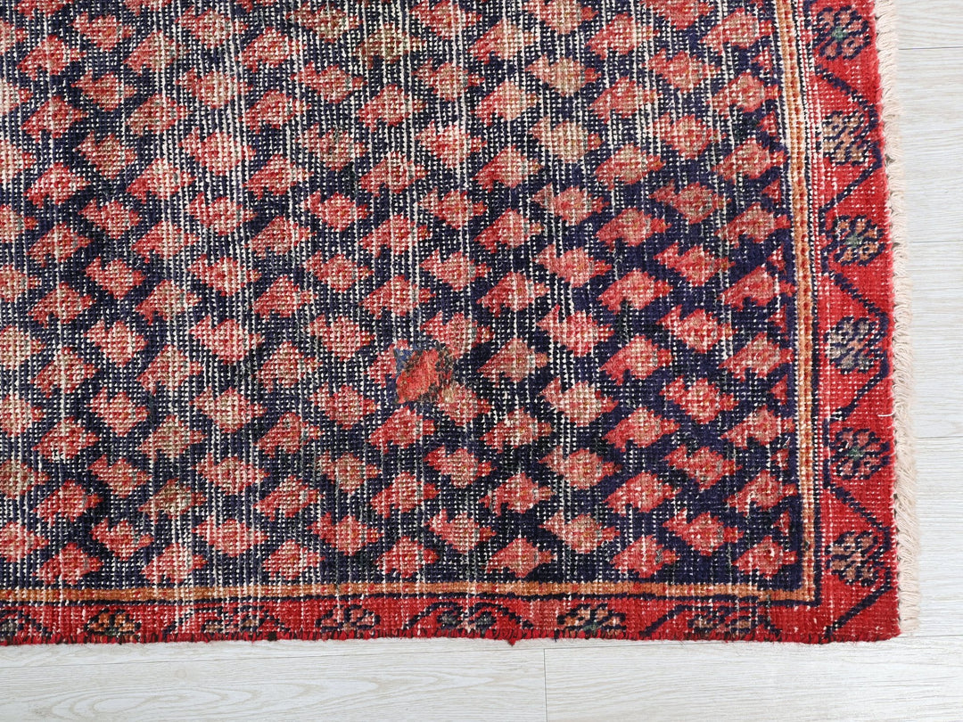 2' 3" x 8' 10"
