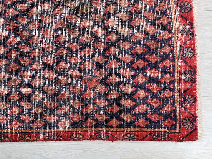 2' 3" x 8' 10"