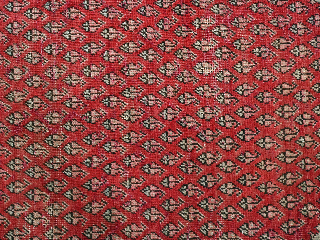 3' 2" x 9' 8"