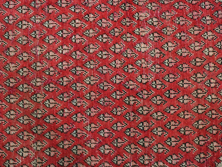 3' 2" x 9' 8"