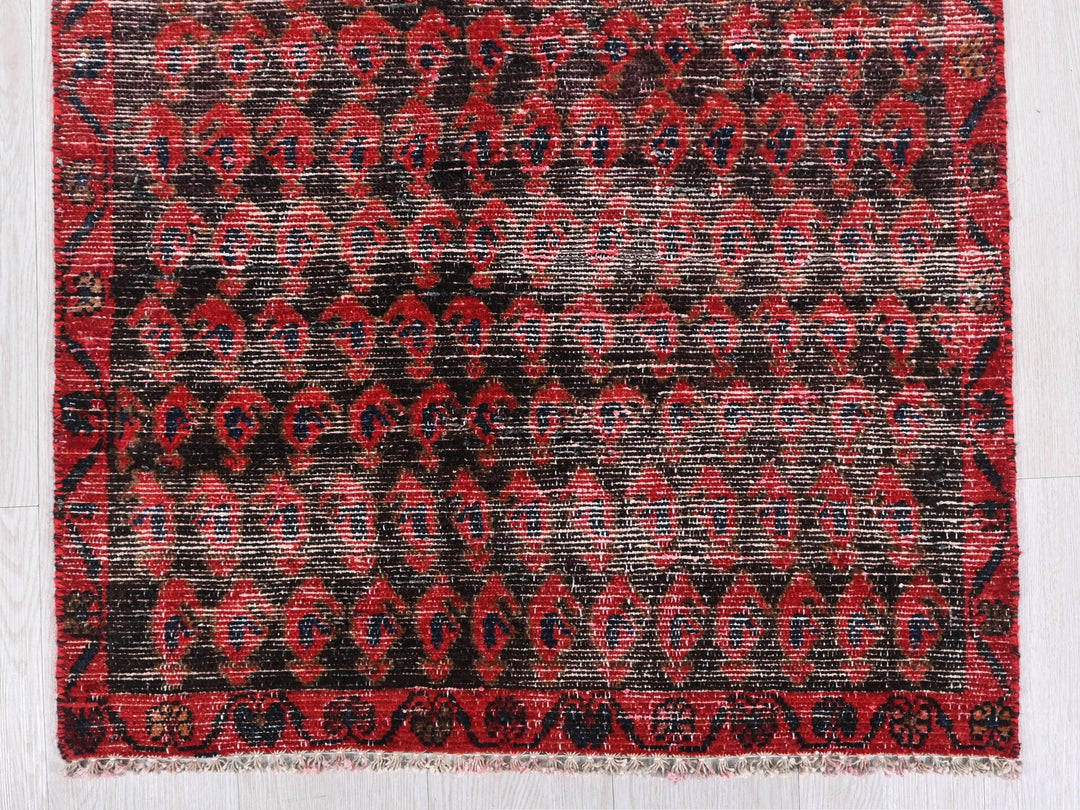 2' 6" x 14' 0"