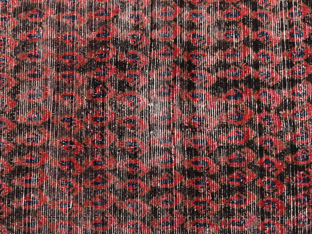 2' 6" x 14' 0"