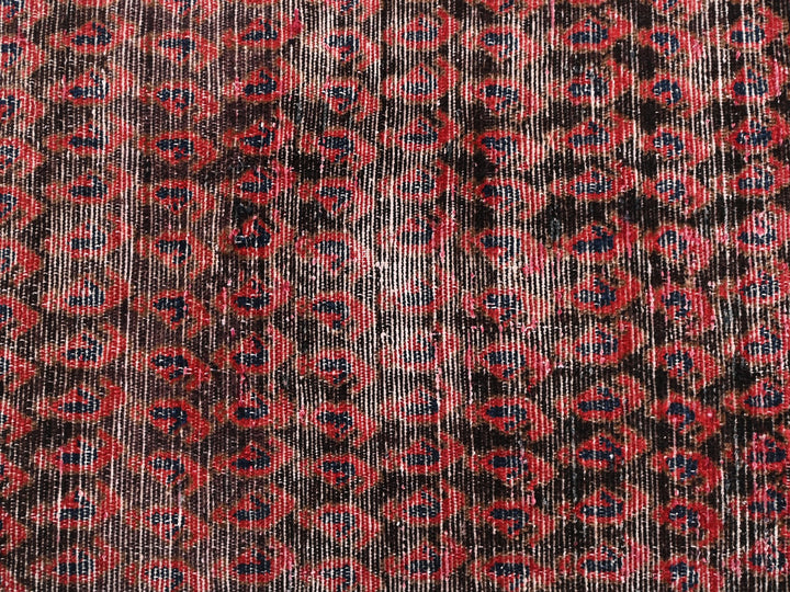 2' 6" x 14' 0"