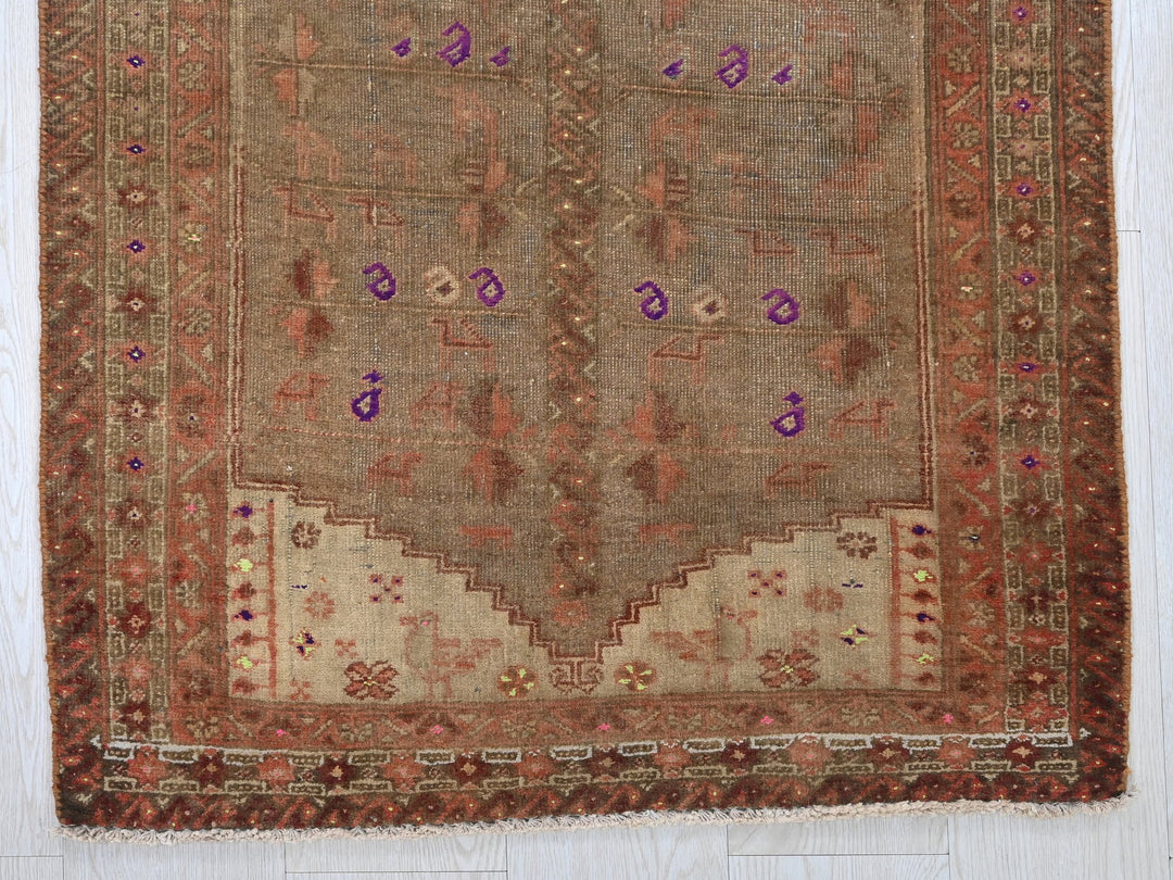 2' 5" x 5' 2"