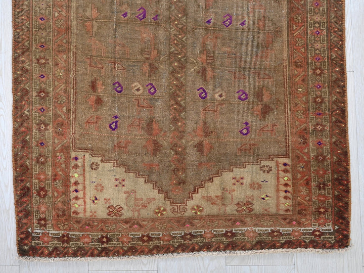 2' 5" x 5' 2"