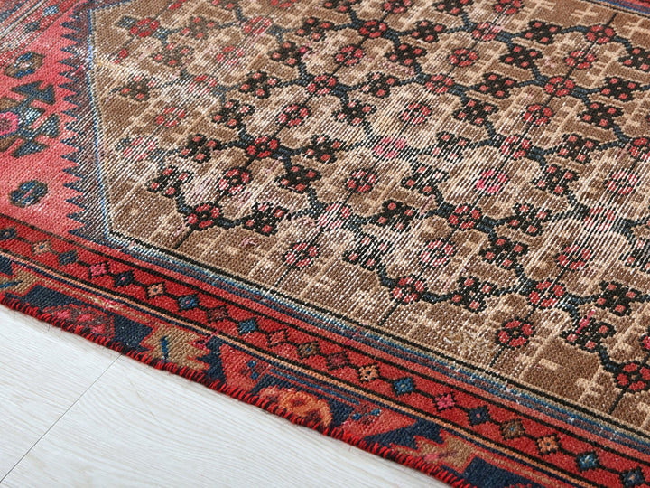 2' 4" x 4' 3"
