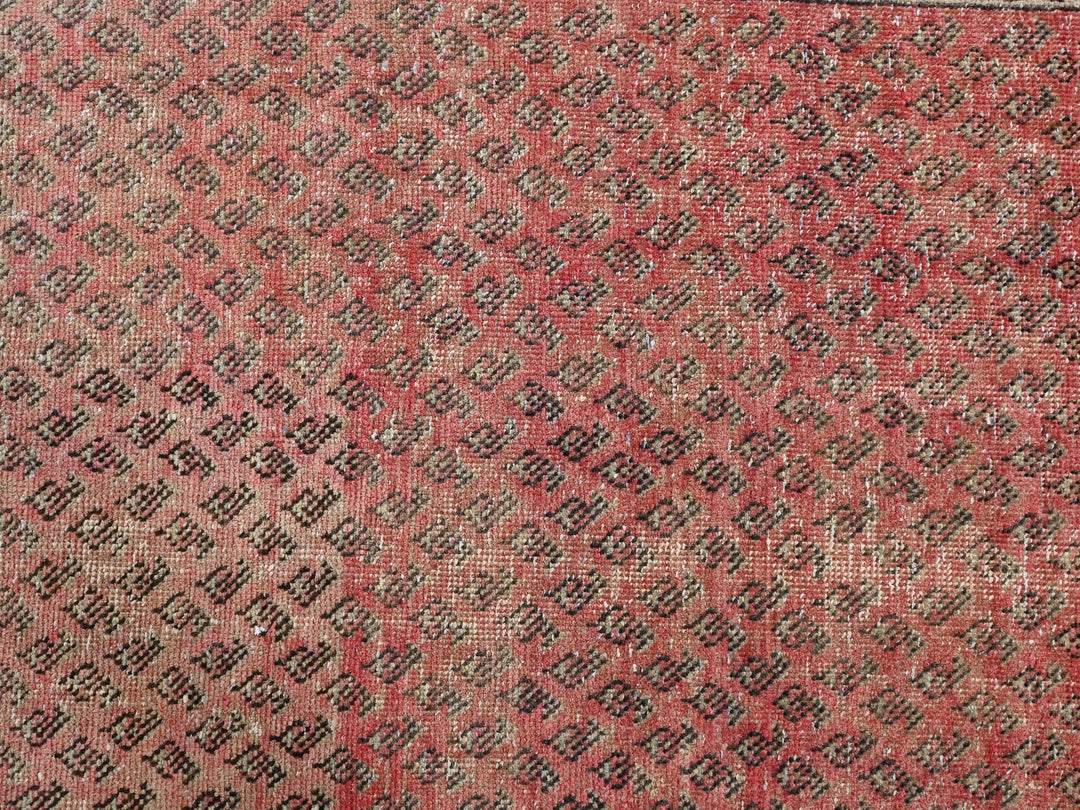 3' 3" x 9' 3"