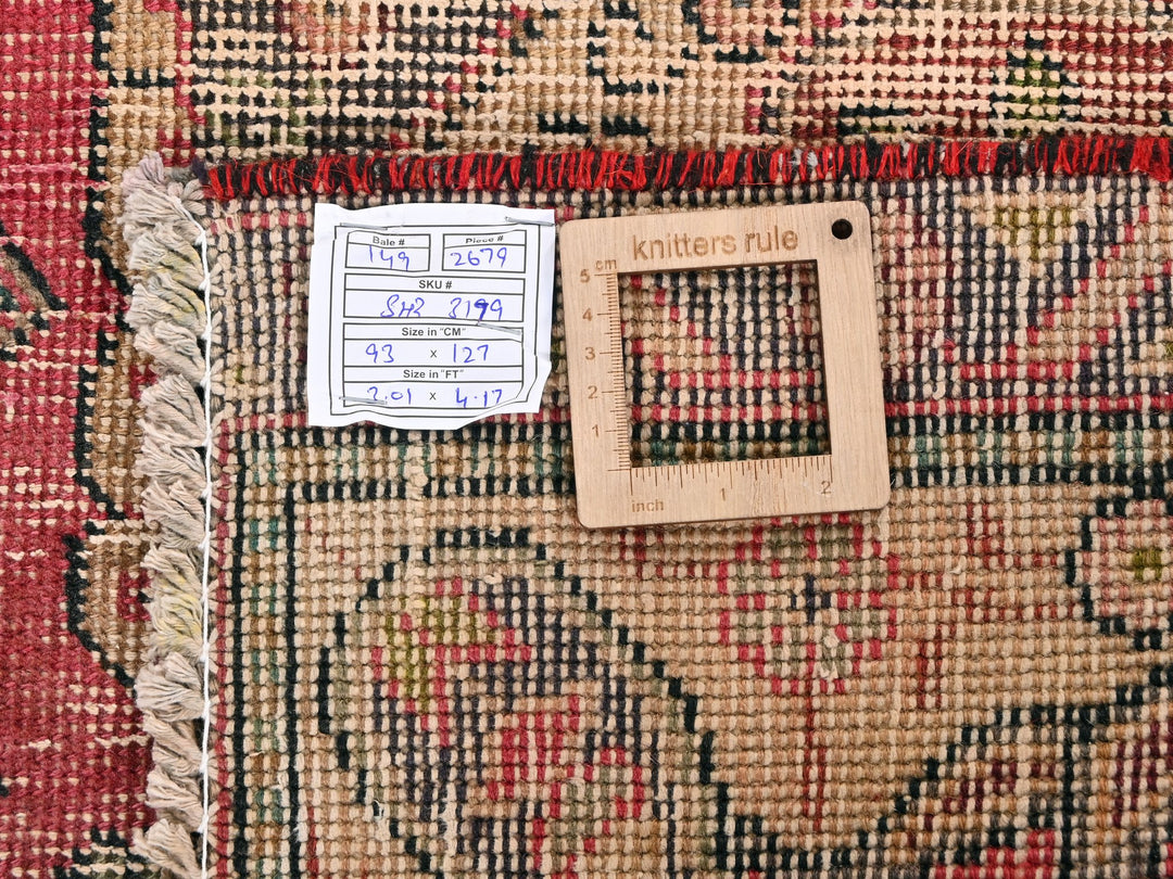 3' 1" x 4' 2"