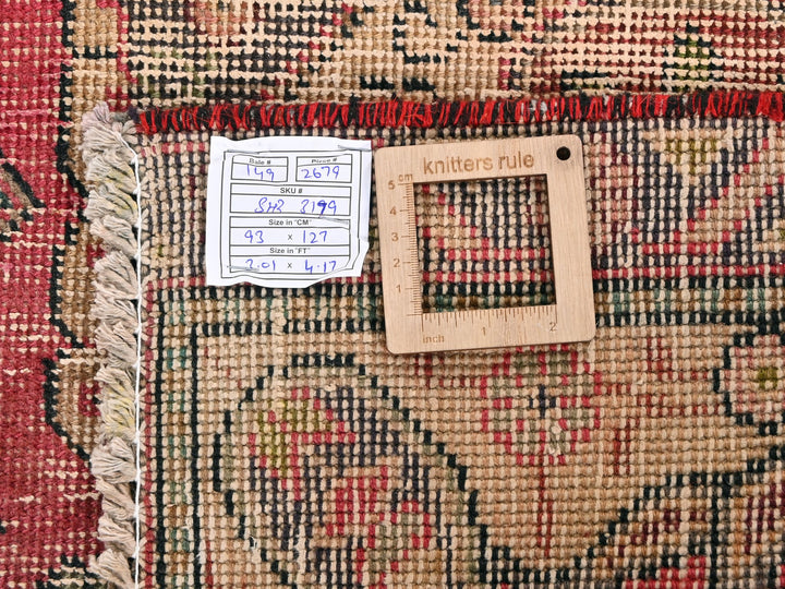 3' 1" x 4' 2"