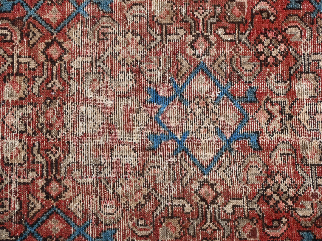 3' 4" x 9' 2"