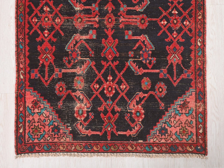 3' 1" x 11' 12"