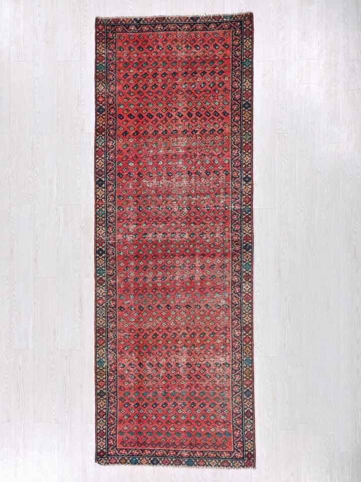 3' 2" x 9' 1"