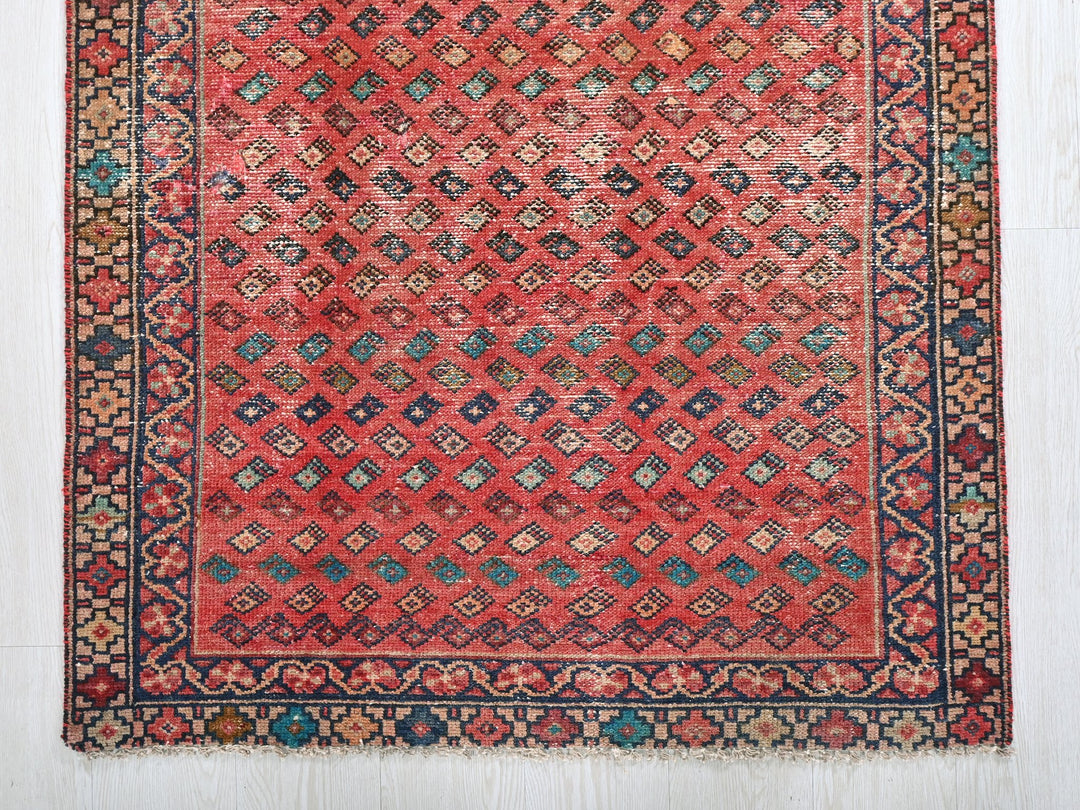 3' 2" x 9' 1"