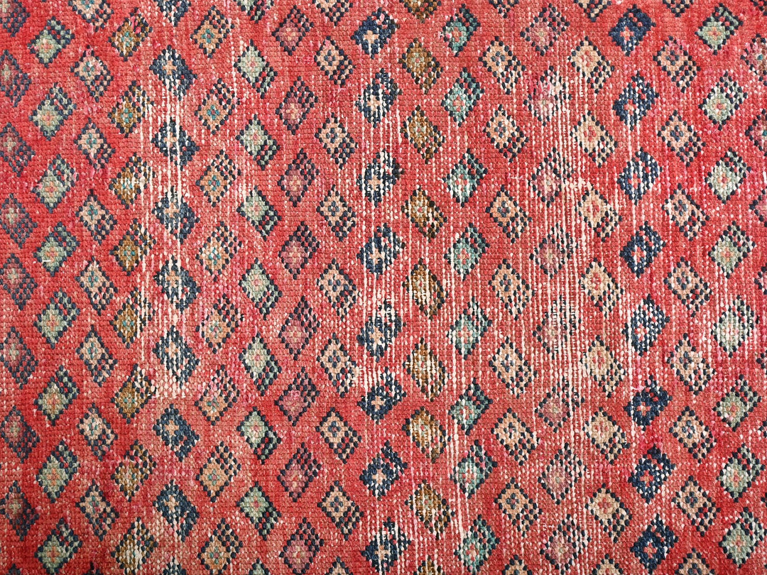 3' 2" x 9' 1"