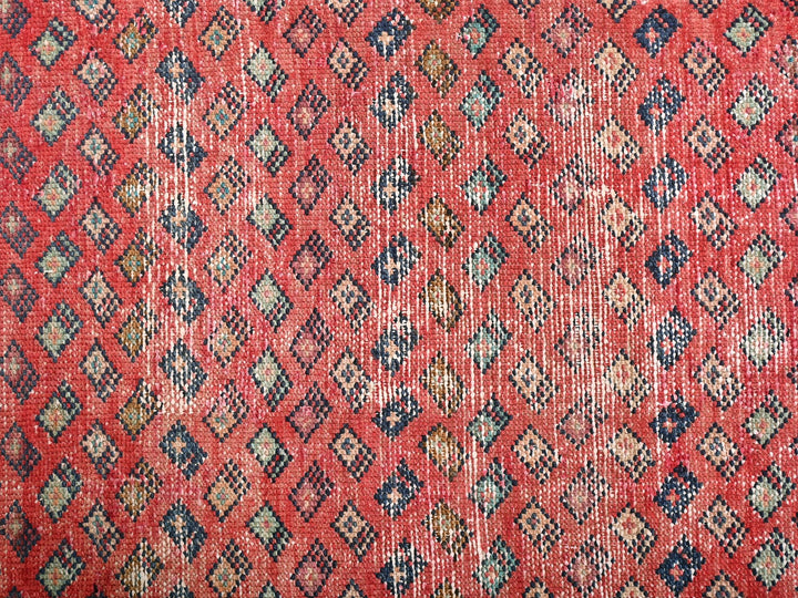 3' 2" x 9' 1"