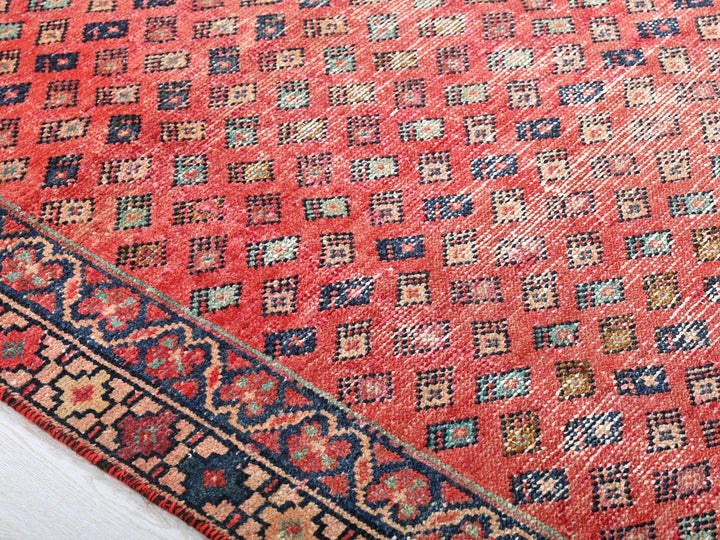 3' 2" x 9' 1"