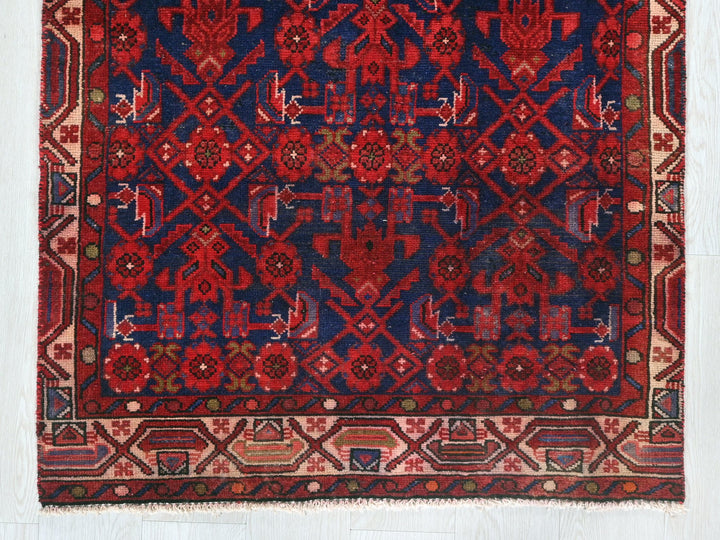 3' 1" x 8' 10"