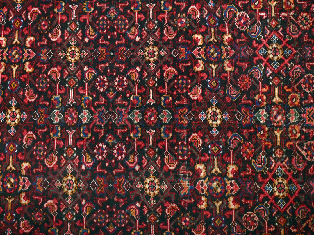 4' 1" x 12' 2"