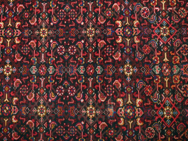 4' 1" x 12' 2"