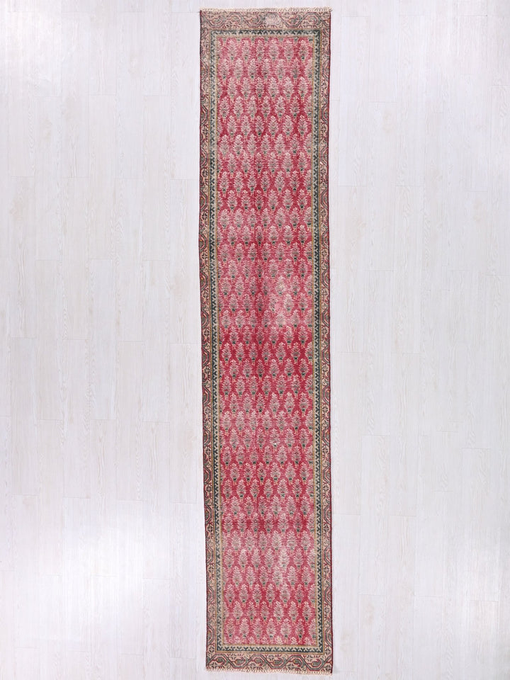 2' 4" x 12' 1"