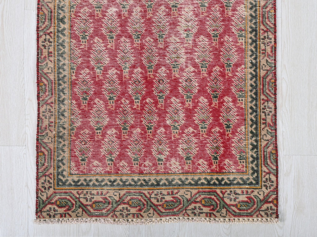 2' 4" x 12' 1"