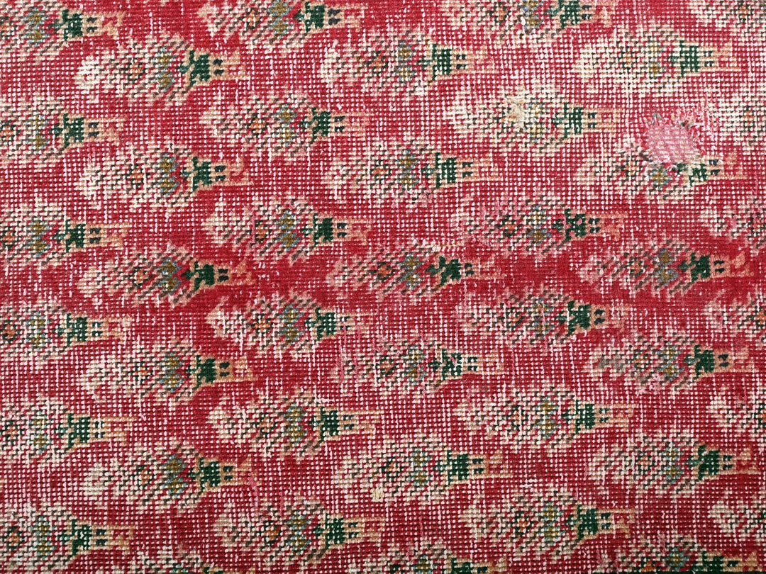 2' 4" x 12' 1"