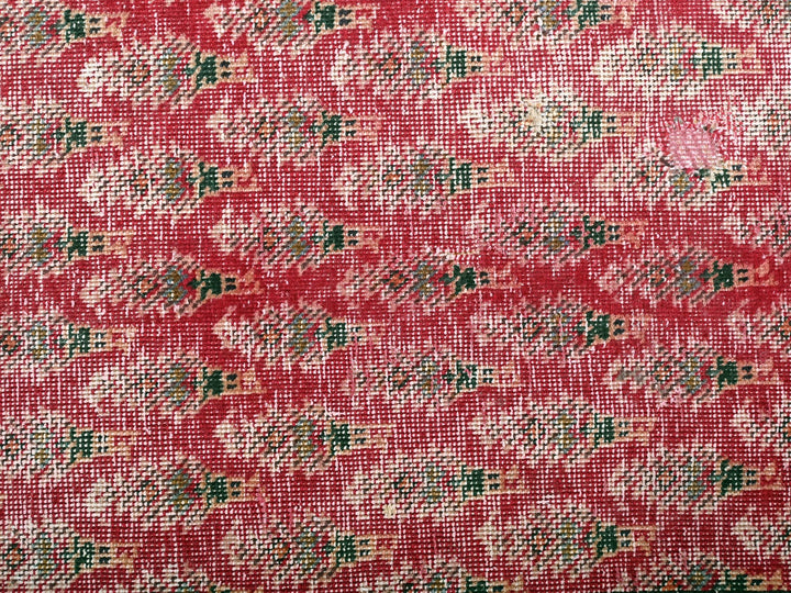 2' 4" x 12' 1"