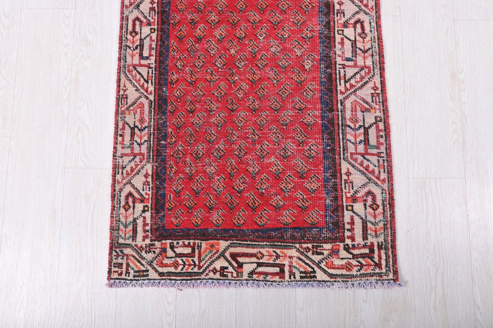 2' 4" x 16' 3"