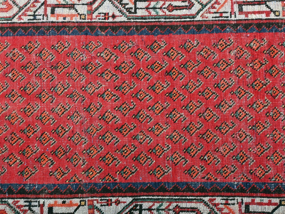 2' 4" x 16' 3"