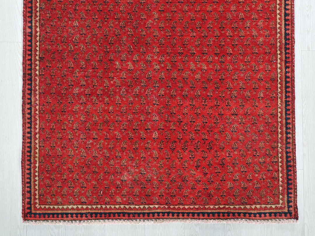 3' 4" x 4' 12"