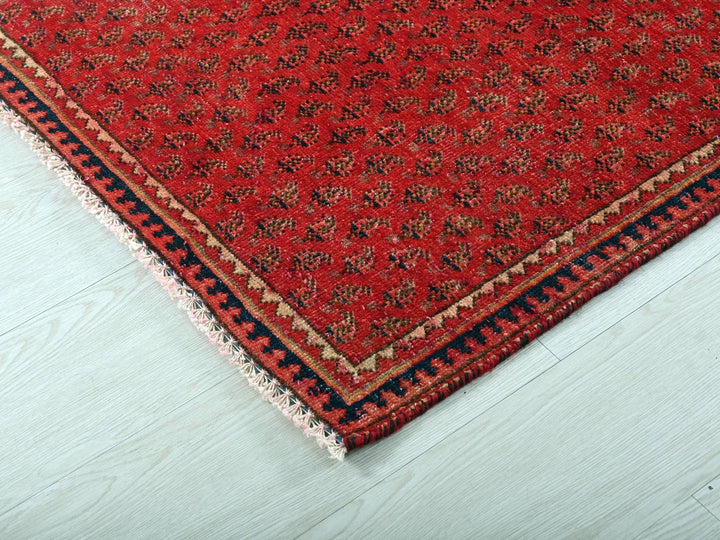 3' 4" x 4' 12"