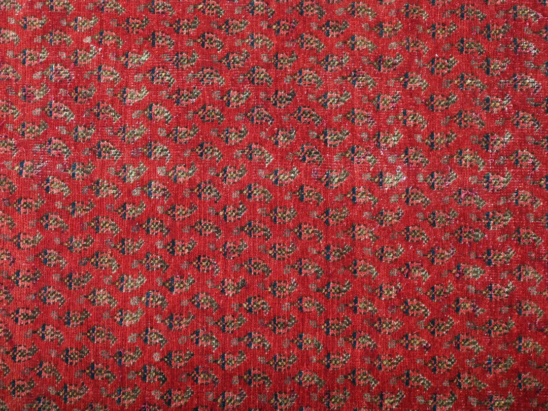 3' 4" x 4' 12"