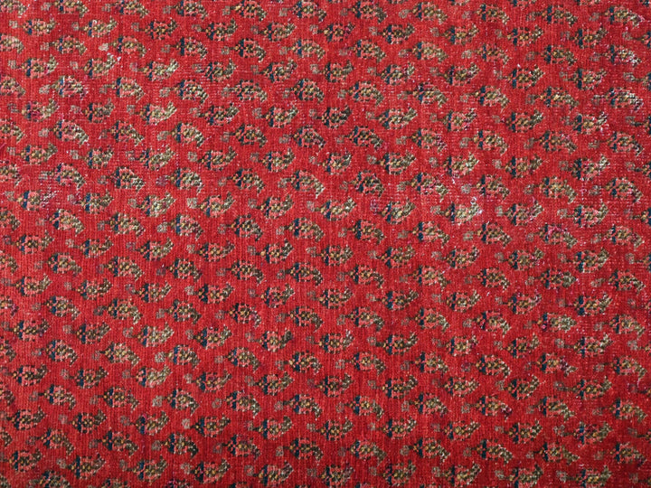3' 4" x 4' 12"