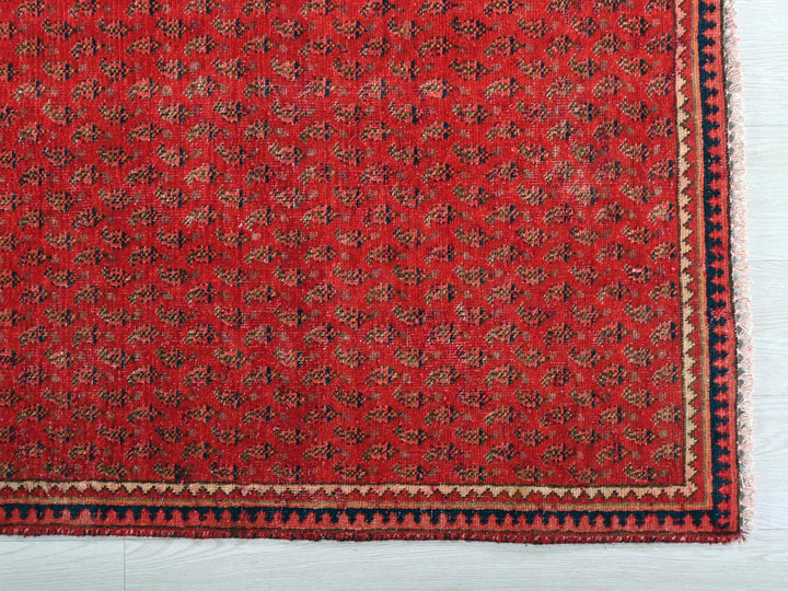 3' 4" x 4' 12"